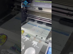 Προστασία του περιβάλλοντος μηχανών τυπωμένων υλών Dtf ραγών της Ιαπωνίας Thk που ντύνει τον ψηφιακό εκτυπωτή