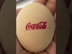 8 UV εκτυπωτής μελανιών DTF χρώματος με την ταινία εκτύπωσης αβ και το εύκαμπτο ύψος MEDIA 6mm